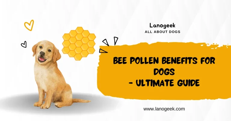 Bee Pollen Benefits For Dogs – Ultimate Guide 2024