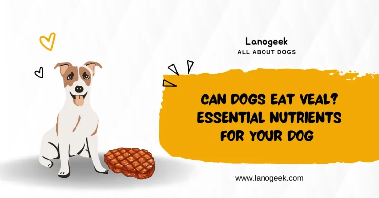 Can Dogs Eat Veal? Essential Nutrients for Your Dog (2024)