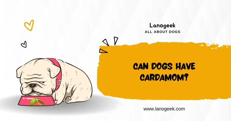 Can Dogs Have Cardamom? (2024 Guide)