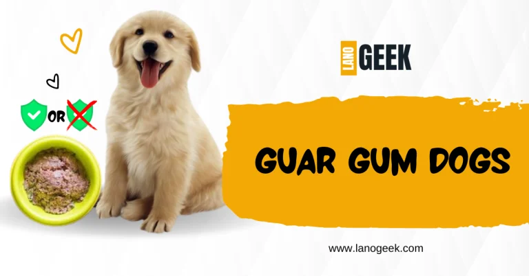 Guar Gum Dog Safe Or Not? (Complete Guide 2024)