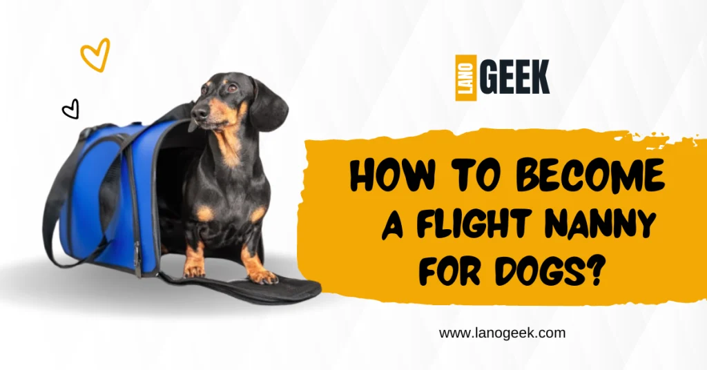 How-To-Become-A-flight-Nanny-For-Dogs-