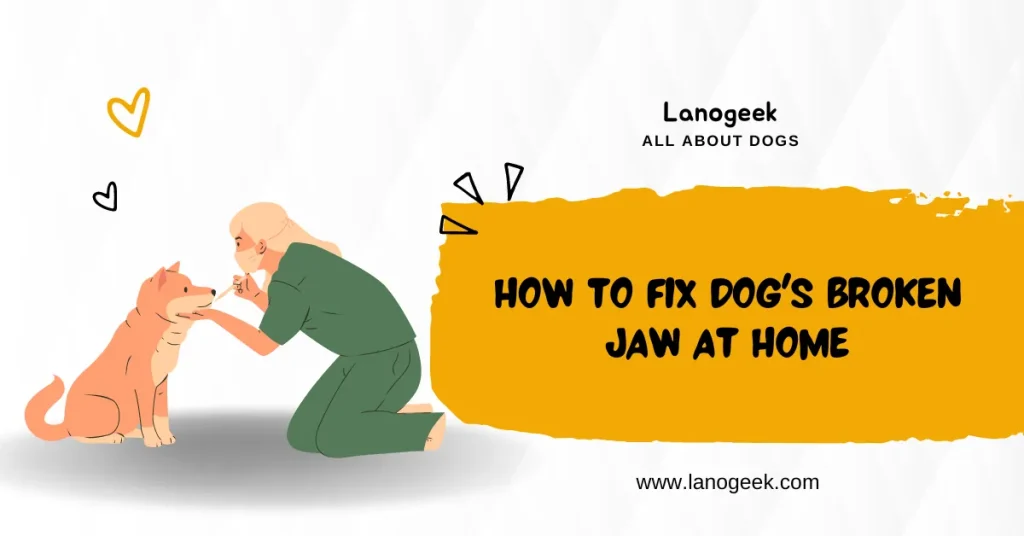 How To Fix Dog's Broken Jaw at Home