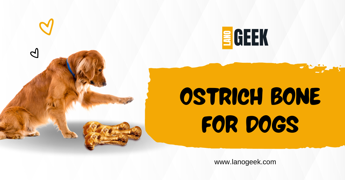 Ostrich-Bone-For-Dogs-2024