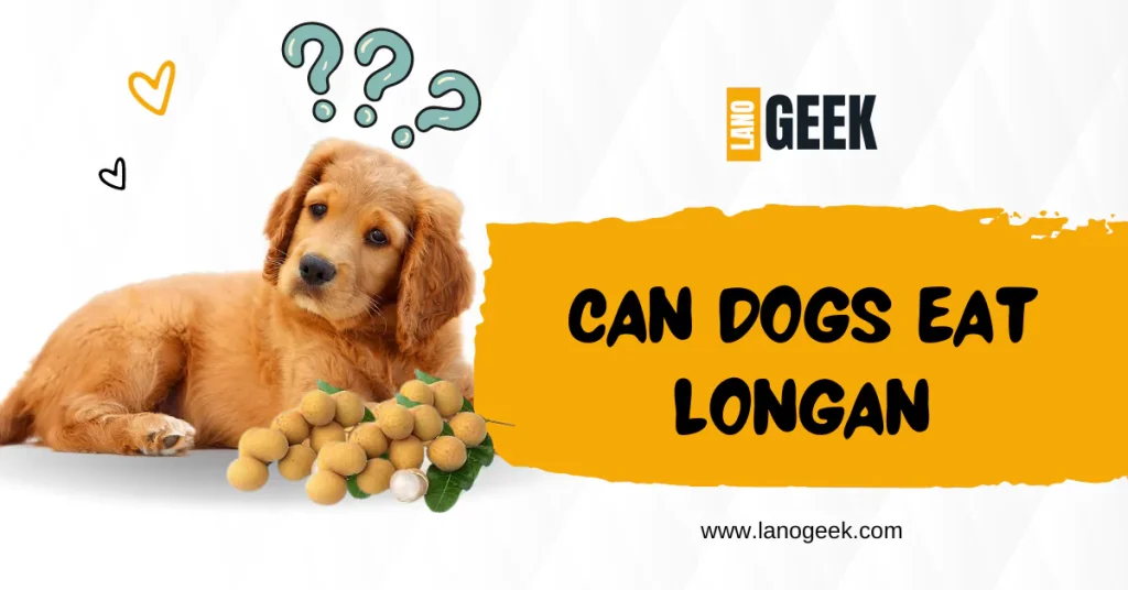 can-dogs-eat-longan