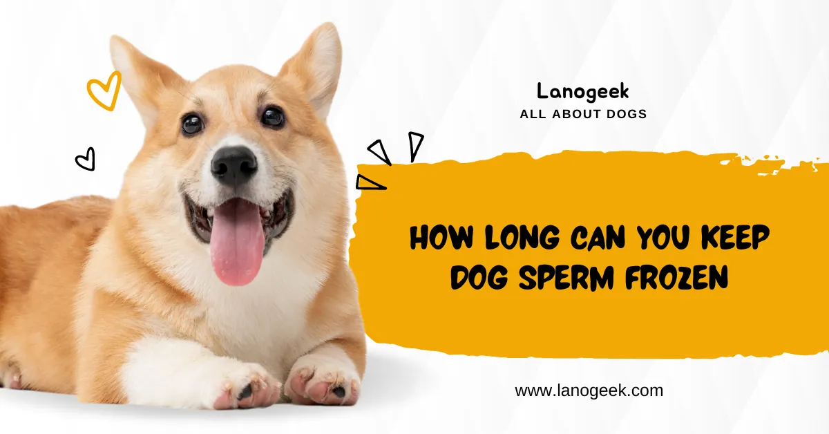how long can you keep dog sperm frozen
