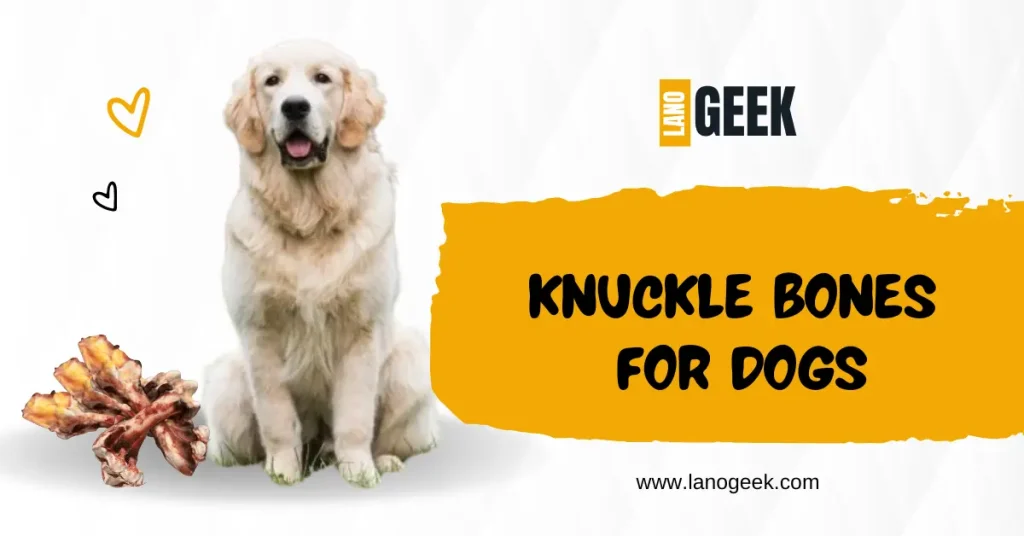 knuckle Bones For Dogs