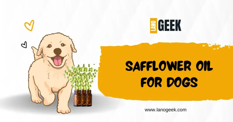 Safflower Oil For Dogs (Complete Guide 2024)