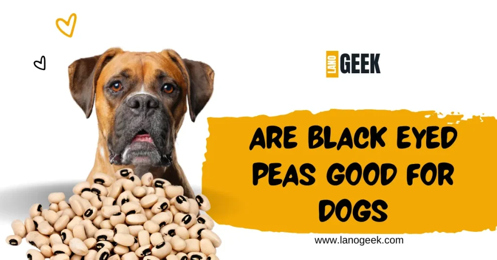 Are Black Eyed Peas Good For Dogs 2024