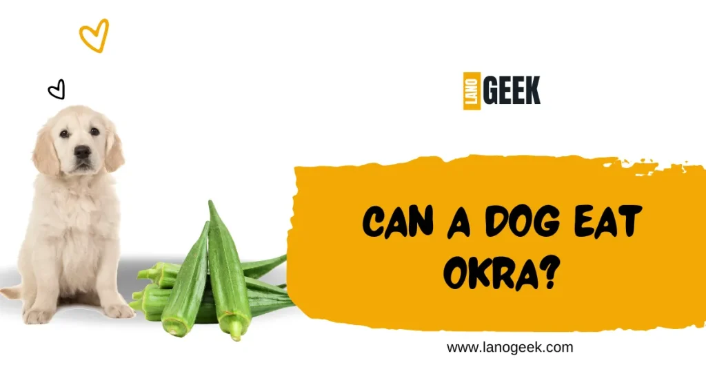 Can A Dog Eat Okra 2024