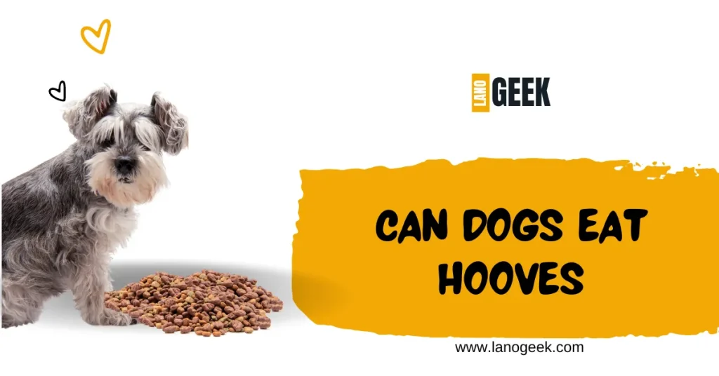 Can Dogs Eat Hooves 2024