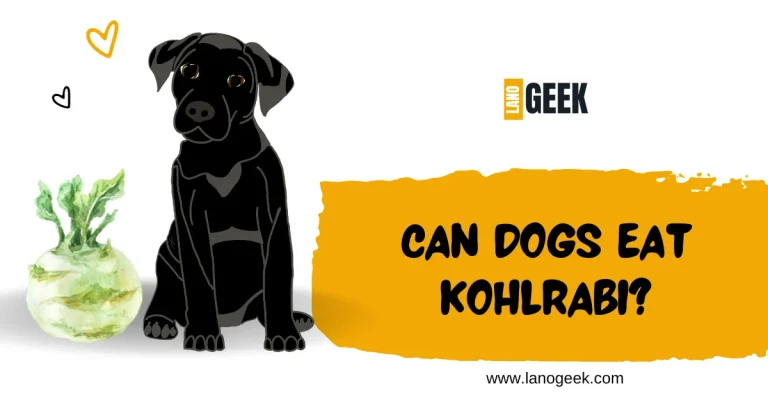 Can Dogs Eat Kohlrabi? Safe Or Unsafe? 2024