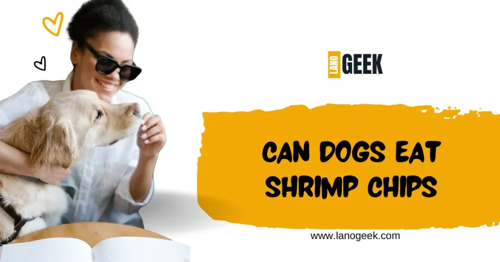 Can Dogs Eat Shrimp Chips 2024