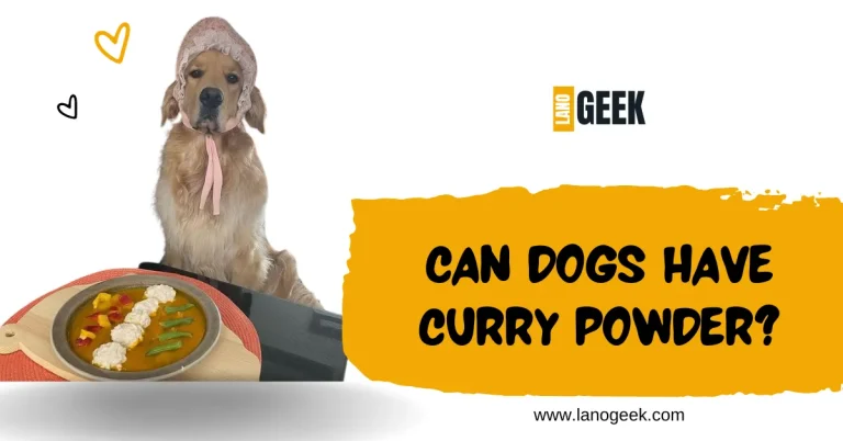 Can Dogs Have Curry Powder? Guide 2024