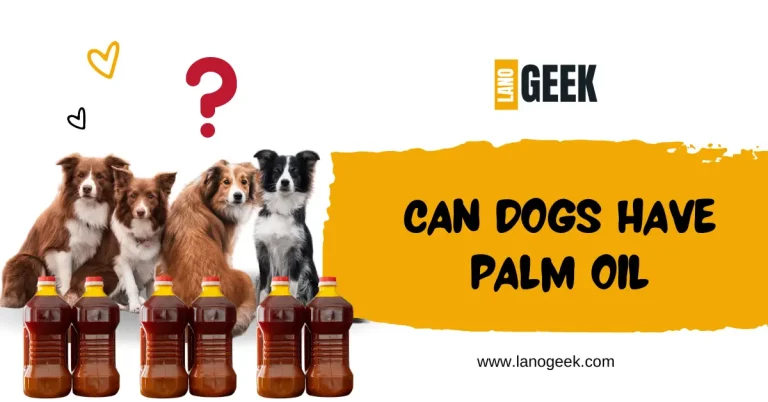 Can Dogs Have Palm Oil? Indicators And Care (Guide 2024)