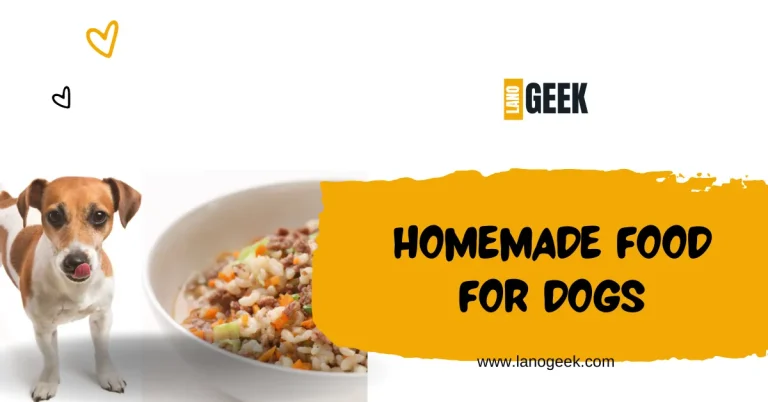 Homemade Food For Dogs With Diabetes? Good Or Not 2024
