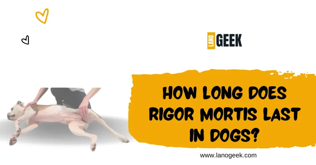How Long Does Rigor Mortis Last In Dogs 2024