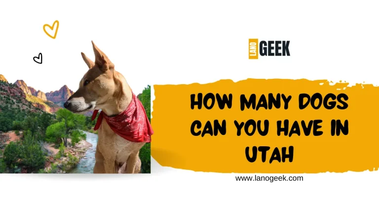 How Many Dogs Can You Have In Utah? Complete Guide 2024