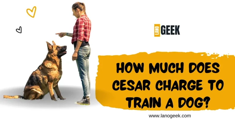 How Much Does Cesar Charge To Train  A Dog? Guide 2024