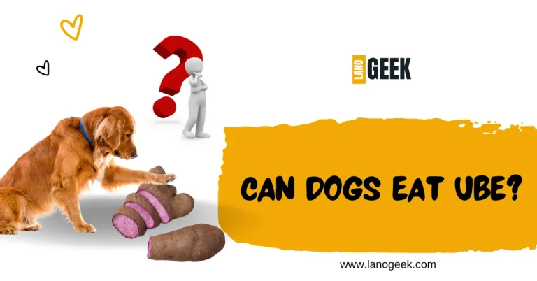 Can Dogs Eat Ube? Guide 2024