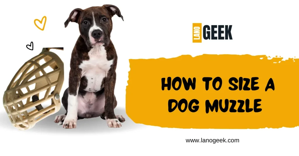 How To Size A Dog Muzzle (Guide 2024)