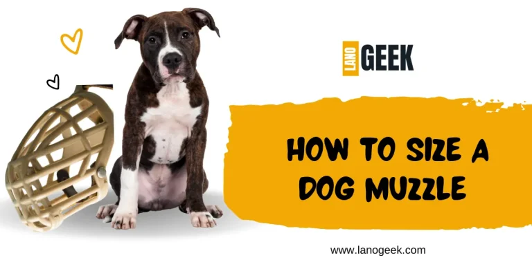 How To Size A Dog Muzzle? (Guide 2024)