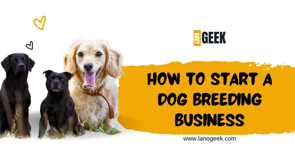 How To Start A Dog Breeding Business 2024