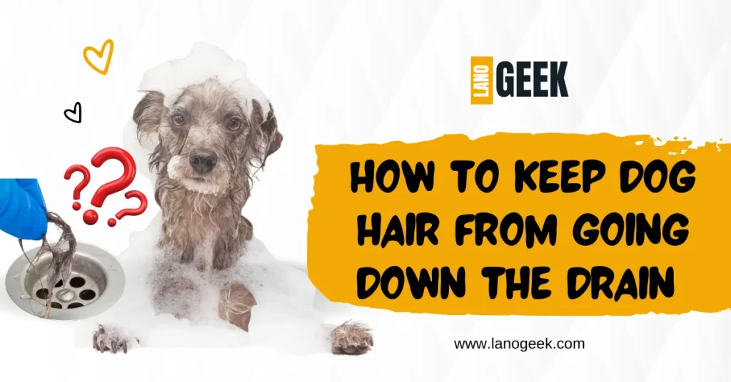 How To keep dog hair from going down the drain 2024