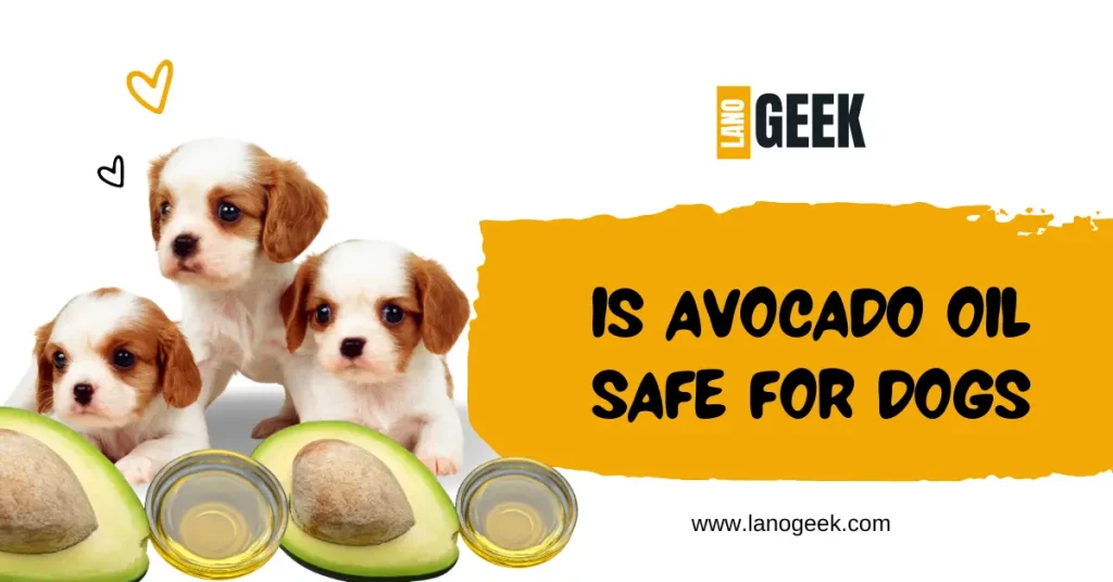 Is Avocado Oil Safe For Dogs 2024