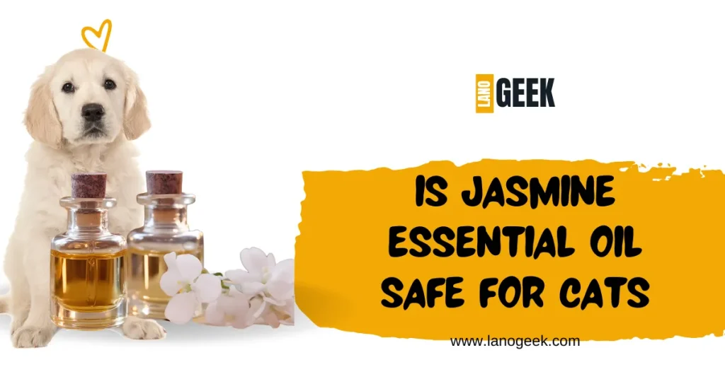 Is Jasmine Essential Oil Safe For Cats 2024