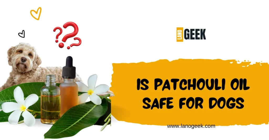 Is Patchouli Oil Safe For Dogs 2024