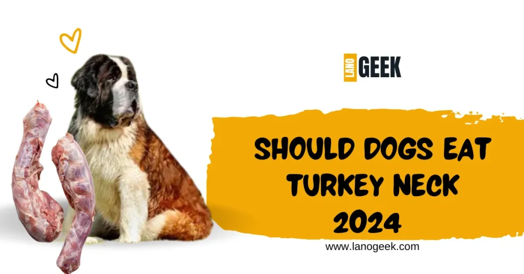 Should Dogs Eat Turkey Neck 2024