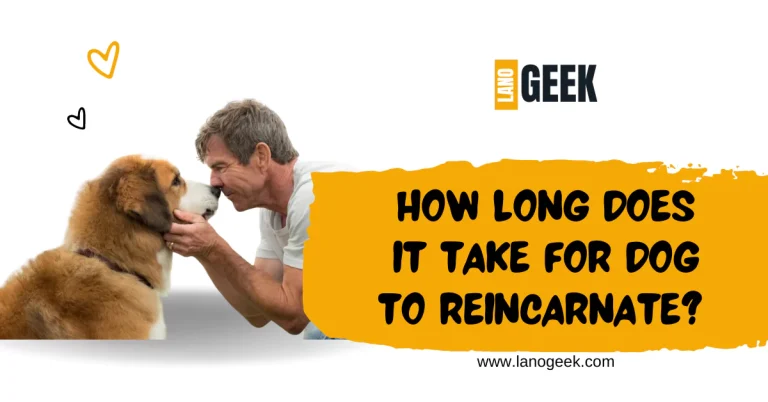 How Long Does It Take For A Dog To Reincarnate? 2024