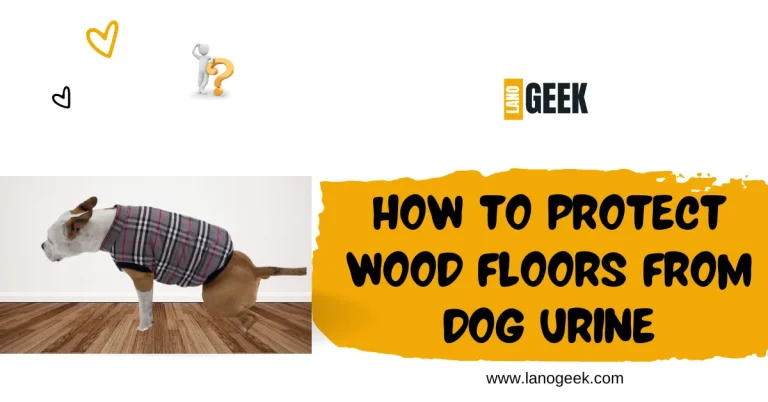 How To Protect Wood Floors From Dog Urine? Guide 2024