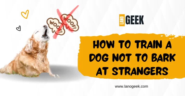 How To Train A Dog Not To Bark At Strangers? Tips to Make Them Stop!