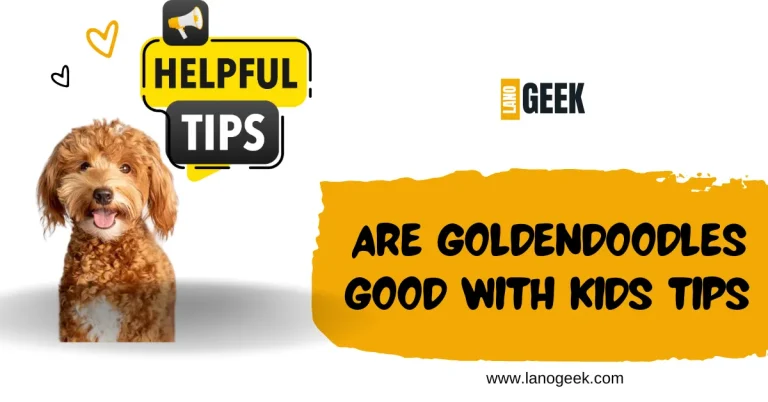 Are Goldendoodles Good With kids Tips 2024